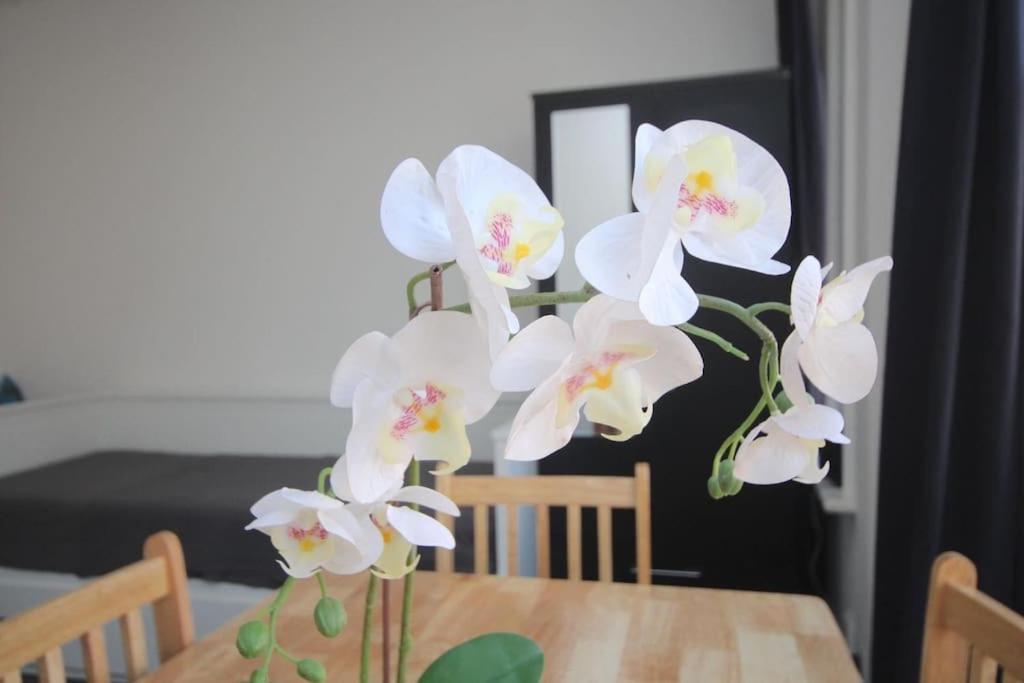 South Kensington Flat Close To Hyde Park London