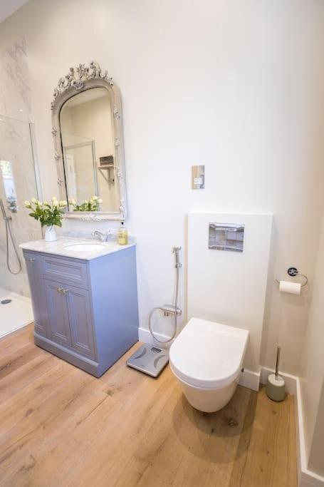 Swanky Pad In Putney Apartment London