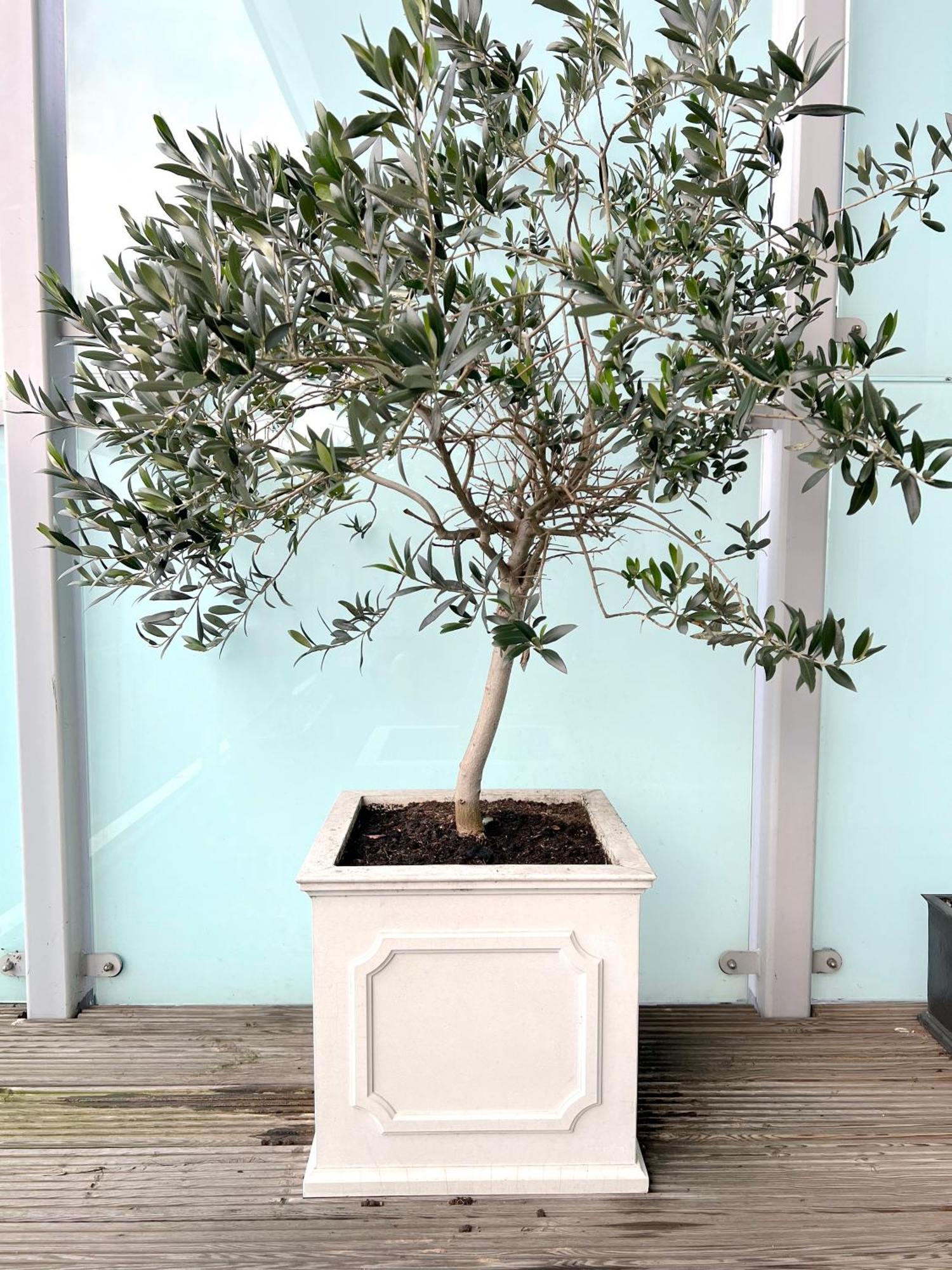 Apartamento Cloud Nine - Luxe *