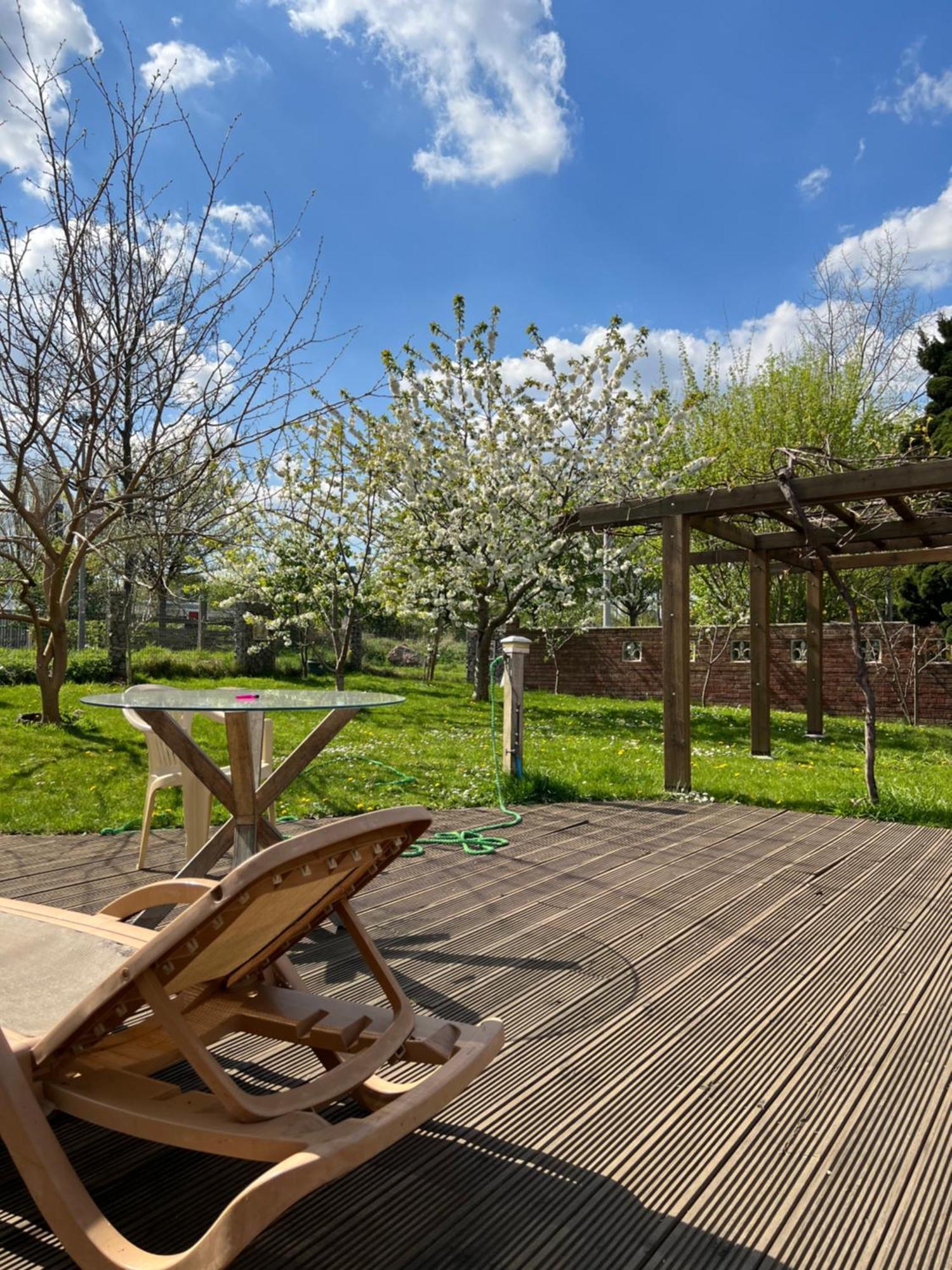 Idyllic In Jubilee Park *