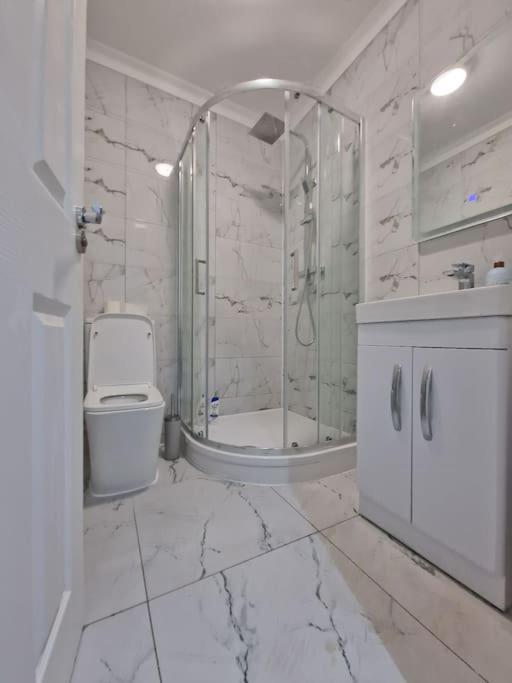Modern Flat On Lea Bridge Road. Apartment London