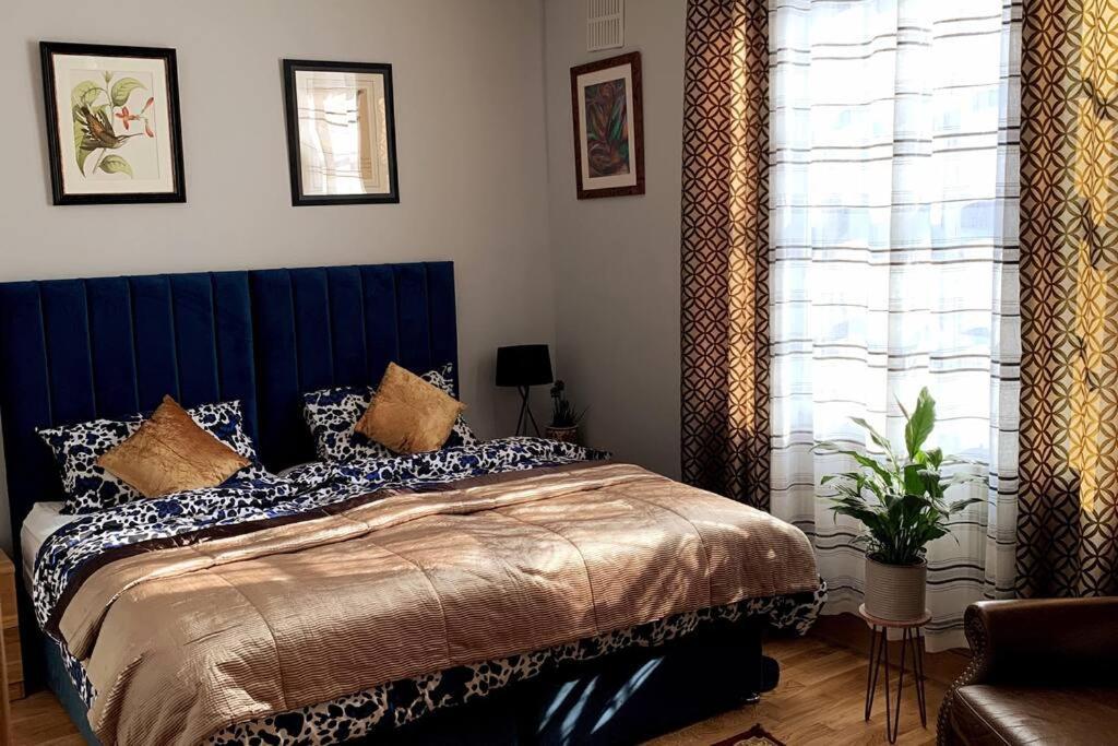 Stylish And Cosy 3 Bedroom Appartement