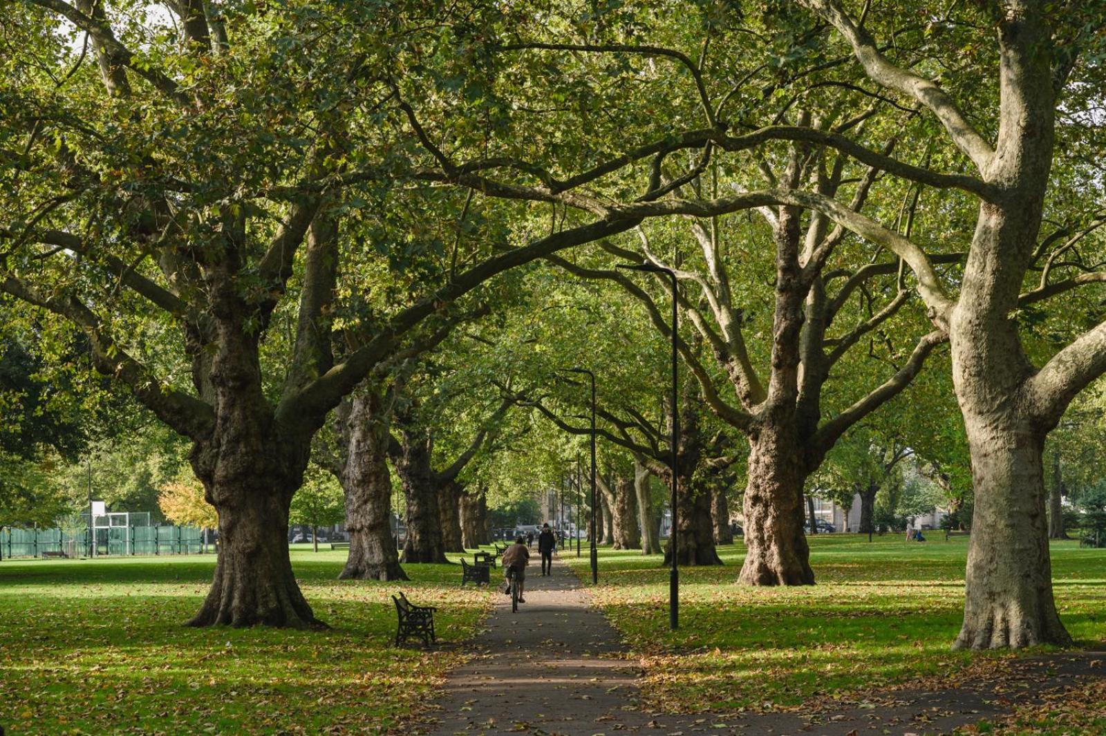 Lovely In Victoria Park Village London
