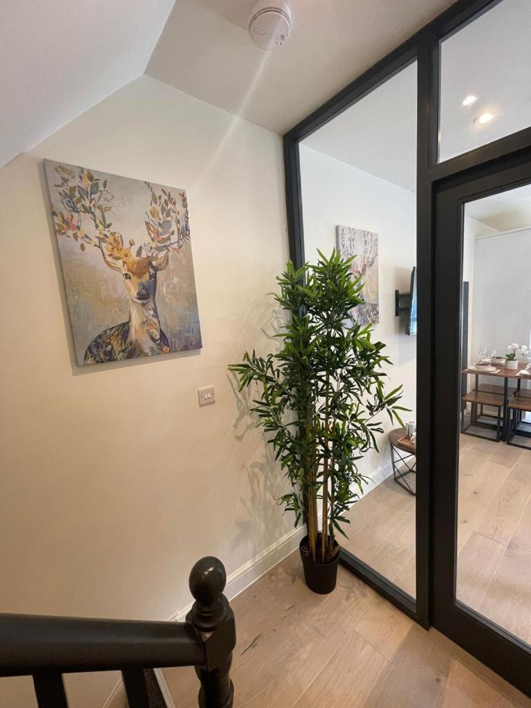 2 Bed In Apartamento Londres