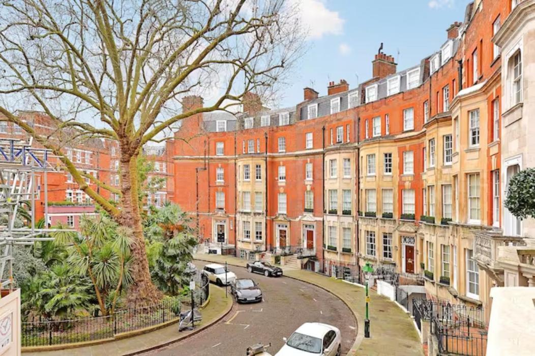 Renovu Premium Homes In Kensington