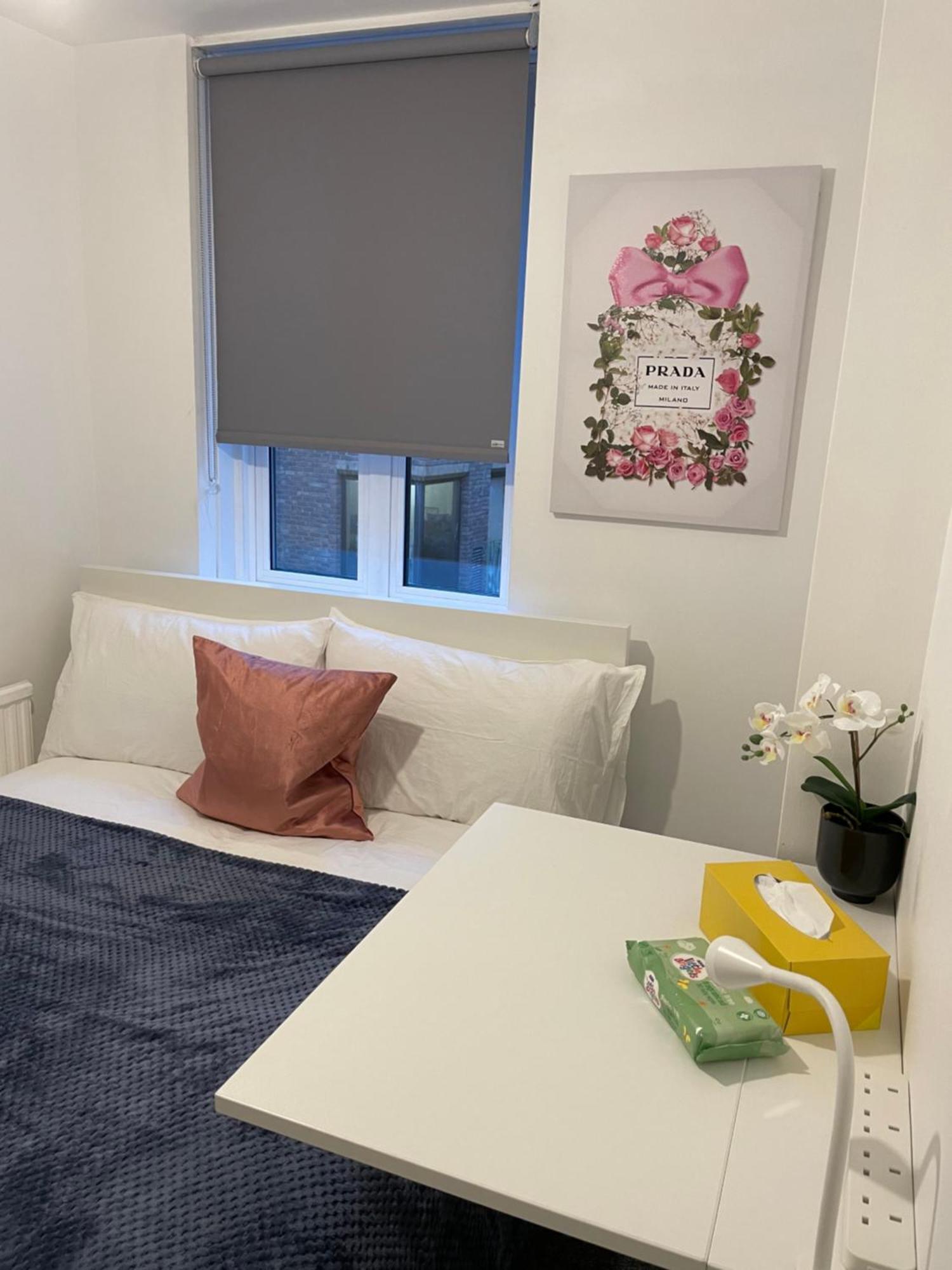 Lovely Double In Euston & Square In Habitación en casa particular *