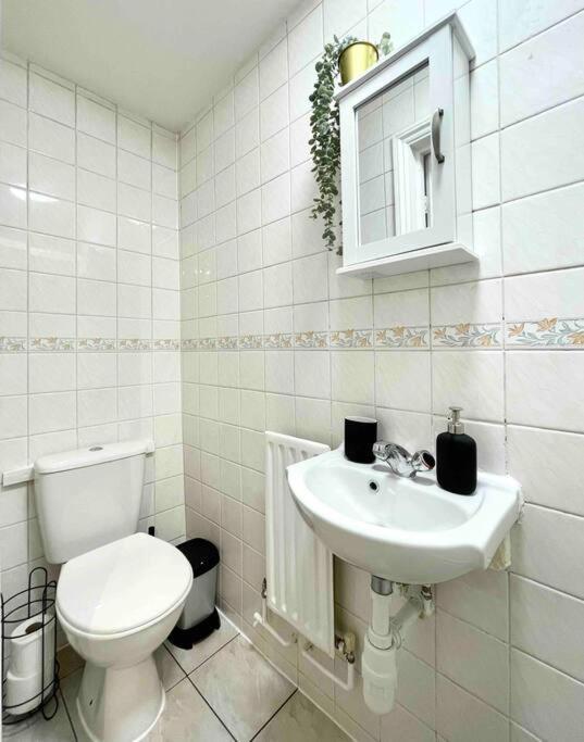 A Ground Floor Flat With Garden * London