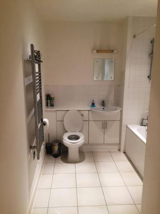 1 Bedroom Flat Near Excel, O2, Canary Wharf - Leilighet London
