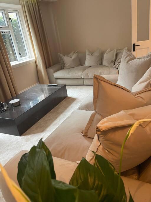 Newly Refurbished Apartment, Near Station & River Apartment *