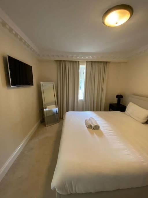 Newly Refurbished Apartment, Near Station & River Apartment London