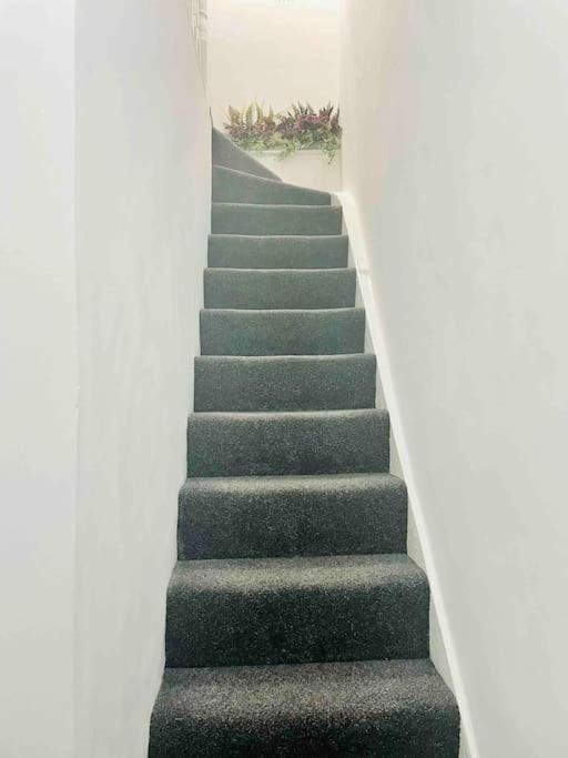 Apartment Lovely 1 Bedroom Flat+living With A Sofa Bed London