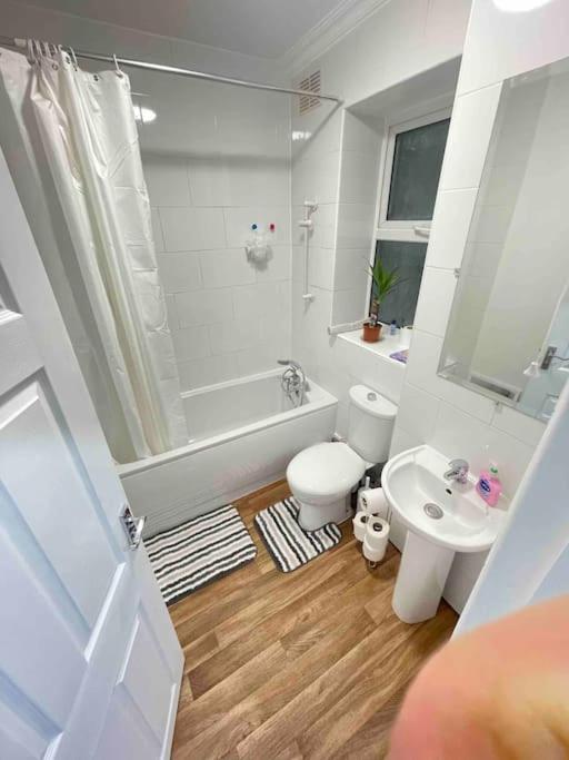 Apartment Lovely 1 Bedroom Flat+living With A Sofa Bed London