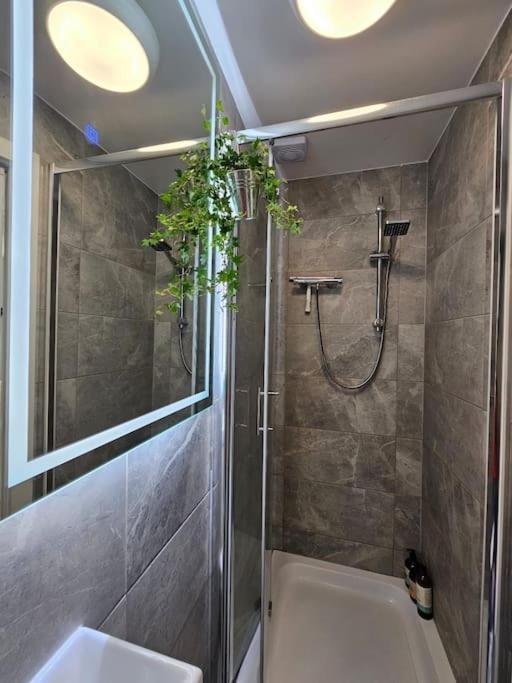 Appartement Stylish Putney Village Flat Londen