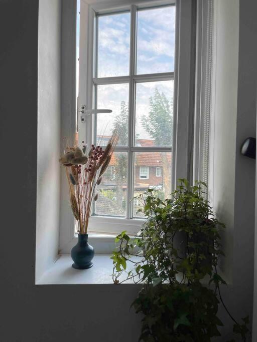 Apartment One Bedroom Putney Village Flat