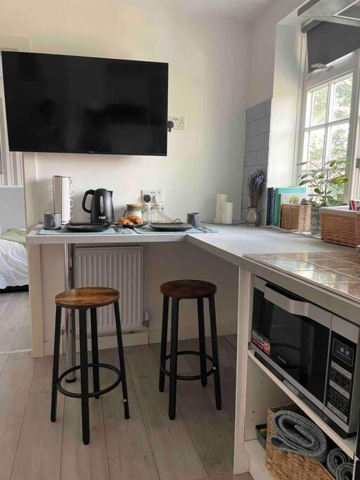 One Bedroom Putney Village Flat Apartment
