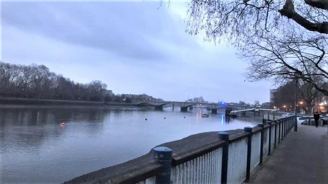Newly Refurb Period 1-bed With Roof Terrace, 47 Sqm-500 Sqft, In Putney Near River Thames Apartment *