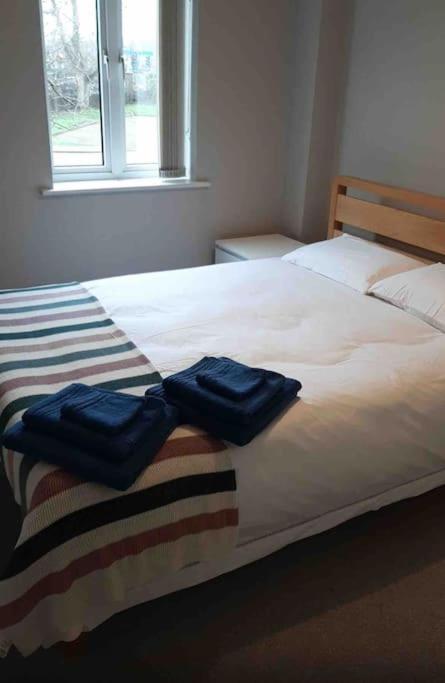 Modern Two Bed Flat In Canada Water Close To Transport Appartement