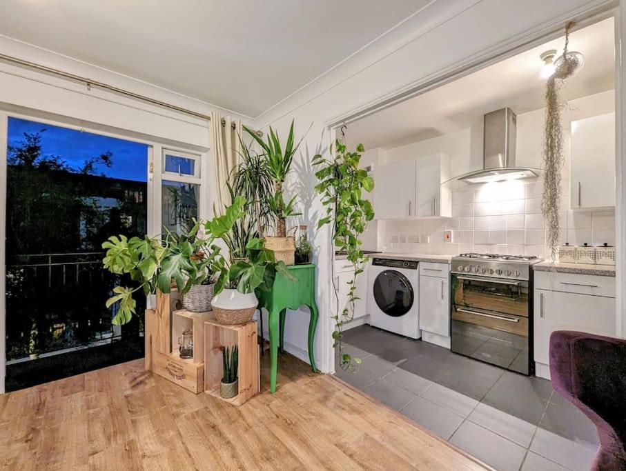 Large, Plant Filled Flat With Balcony Apartment London
