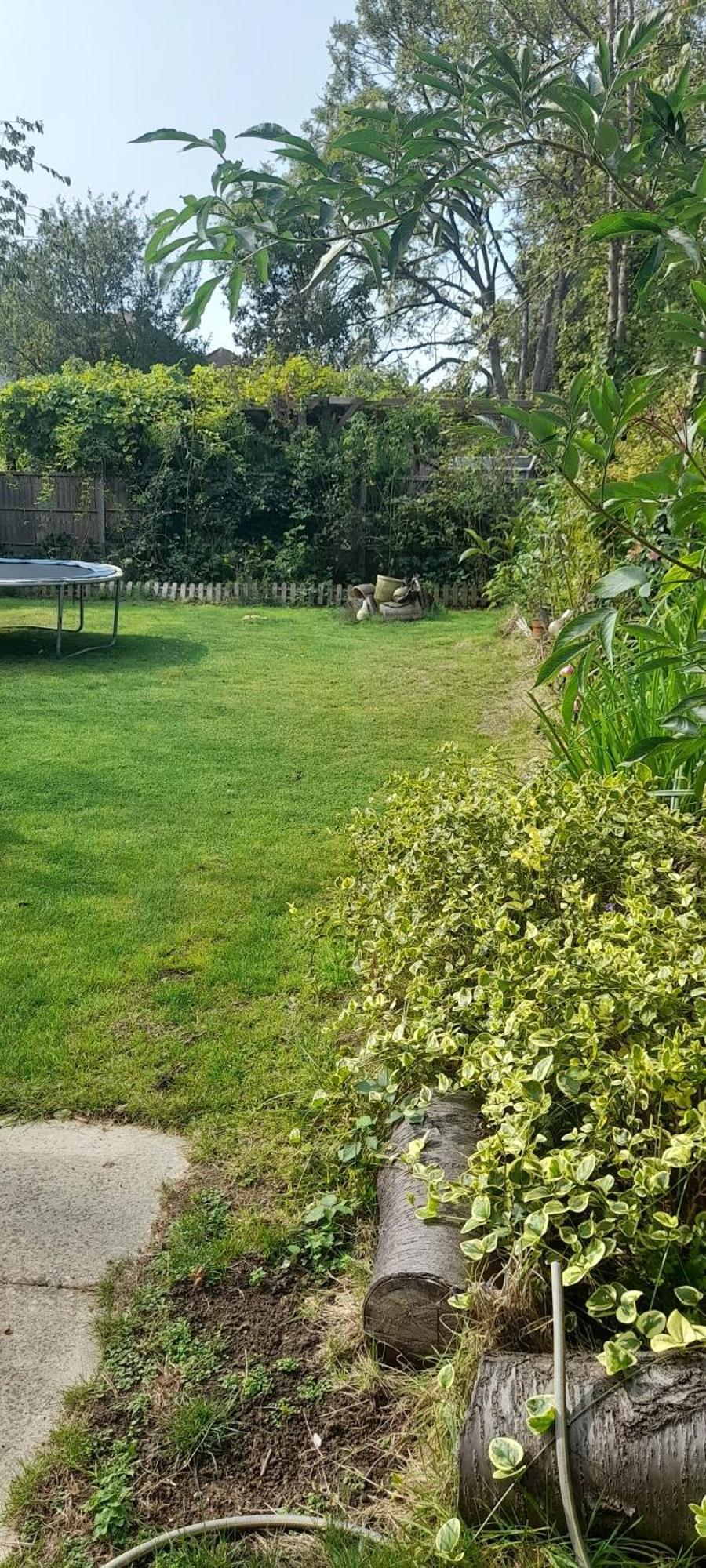 Private Extension With Bathroom And Kitchen * Londres
