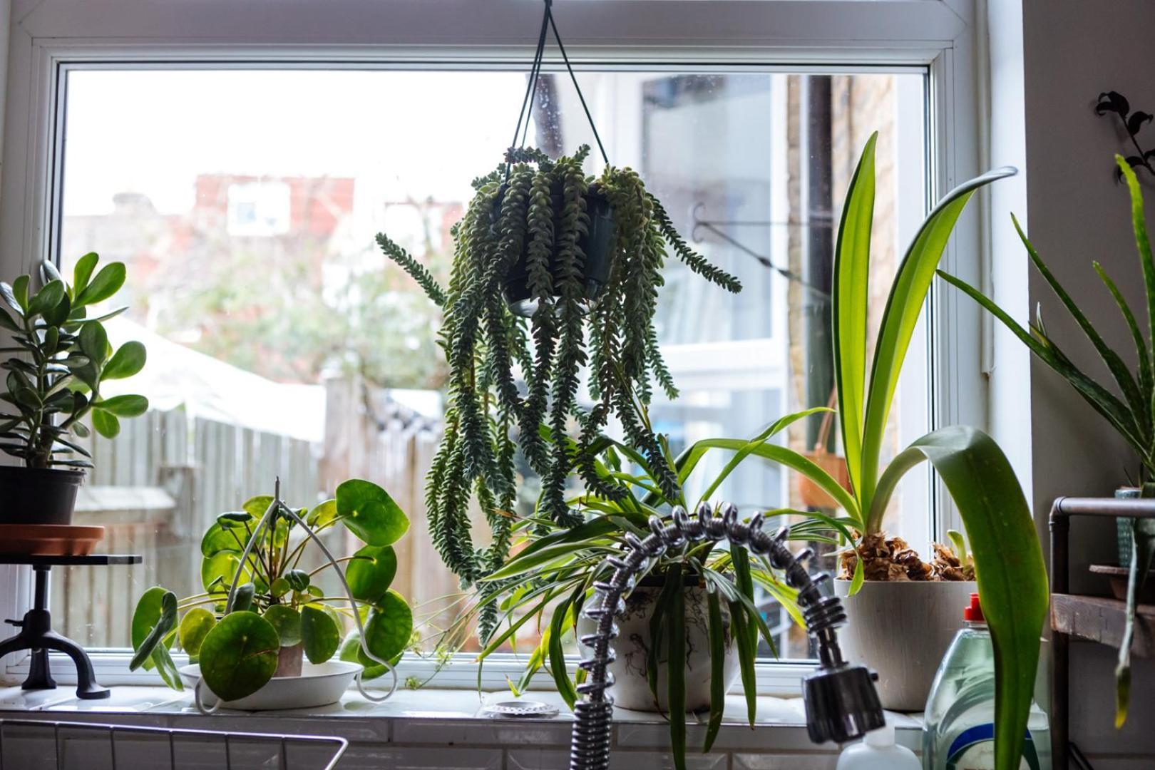 Unique Private W/ Easy Access To Londen