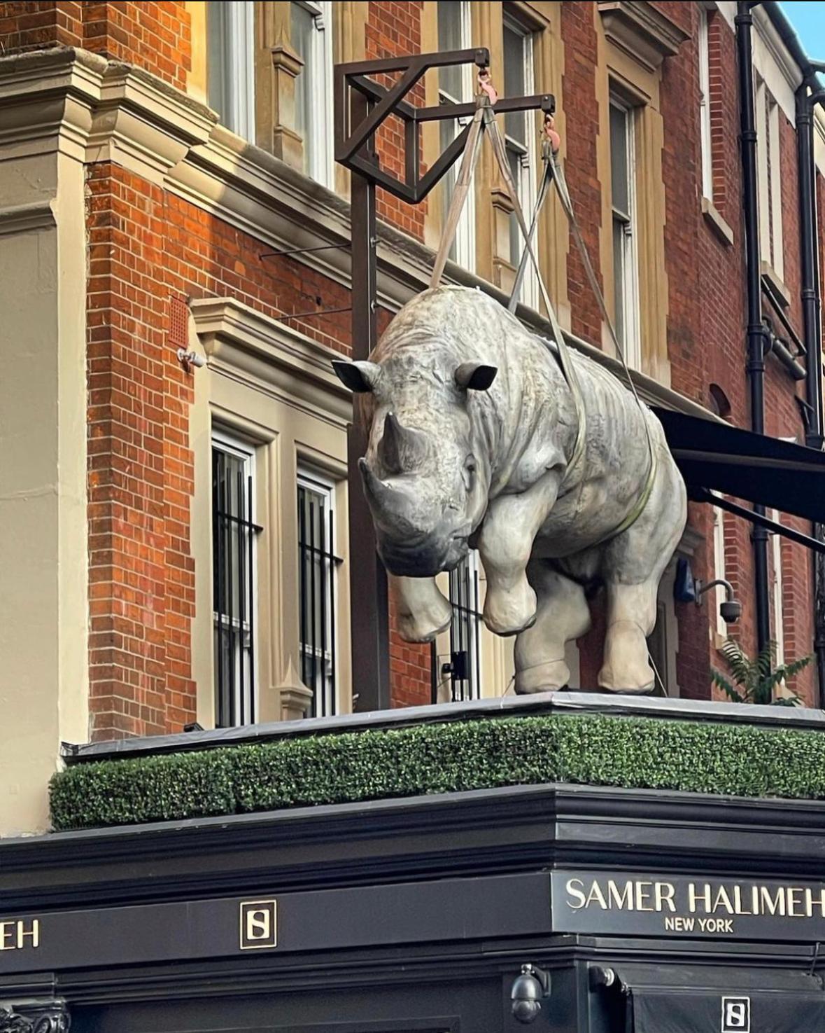 Luxury Knightsbridge Outside Harrods * London