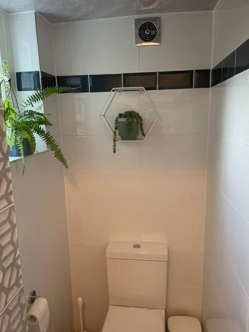 Appartement West Stunning Garden Flat - Period Features Londen