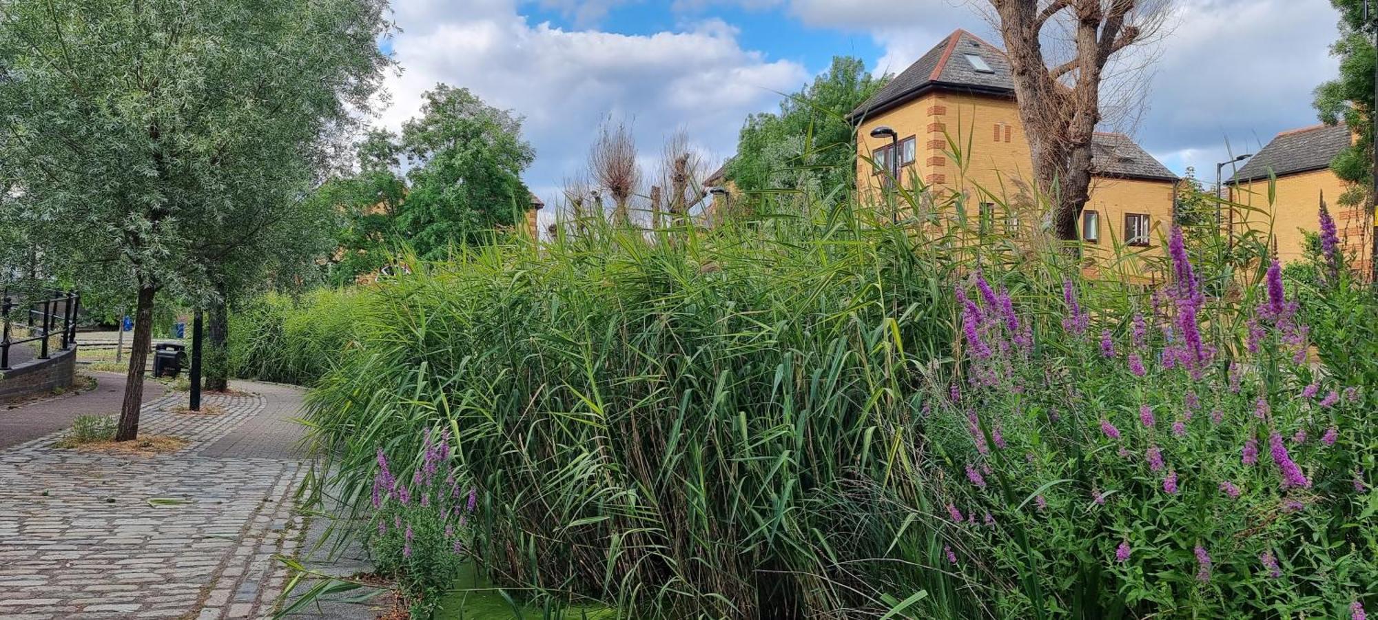 Leilighet Riverside 3br With Easy Transport 20mins To Centre *