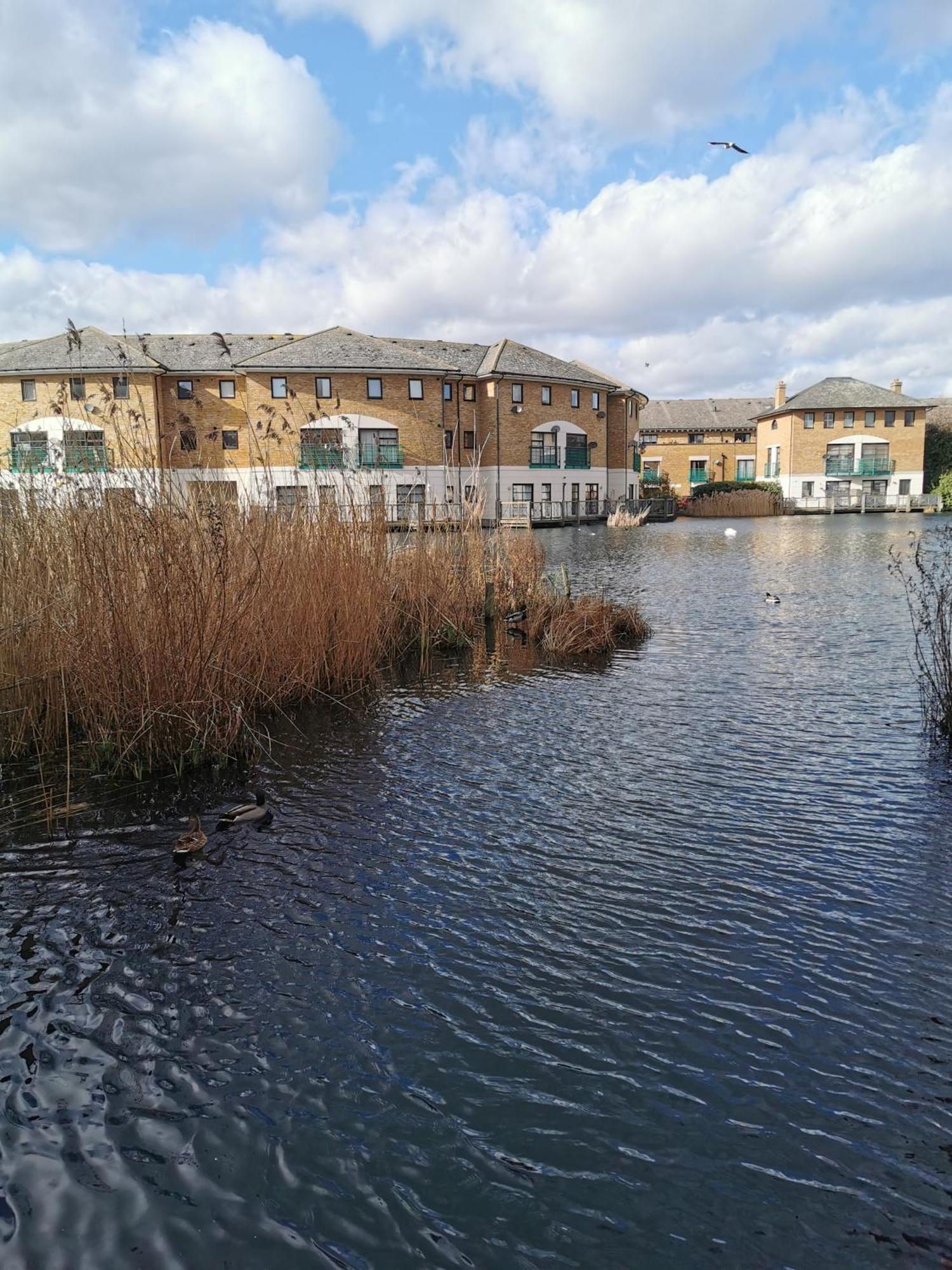 Riverside 3br With Easy Transport 20mins To Centre