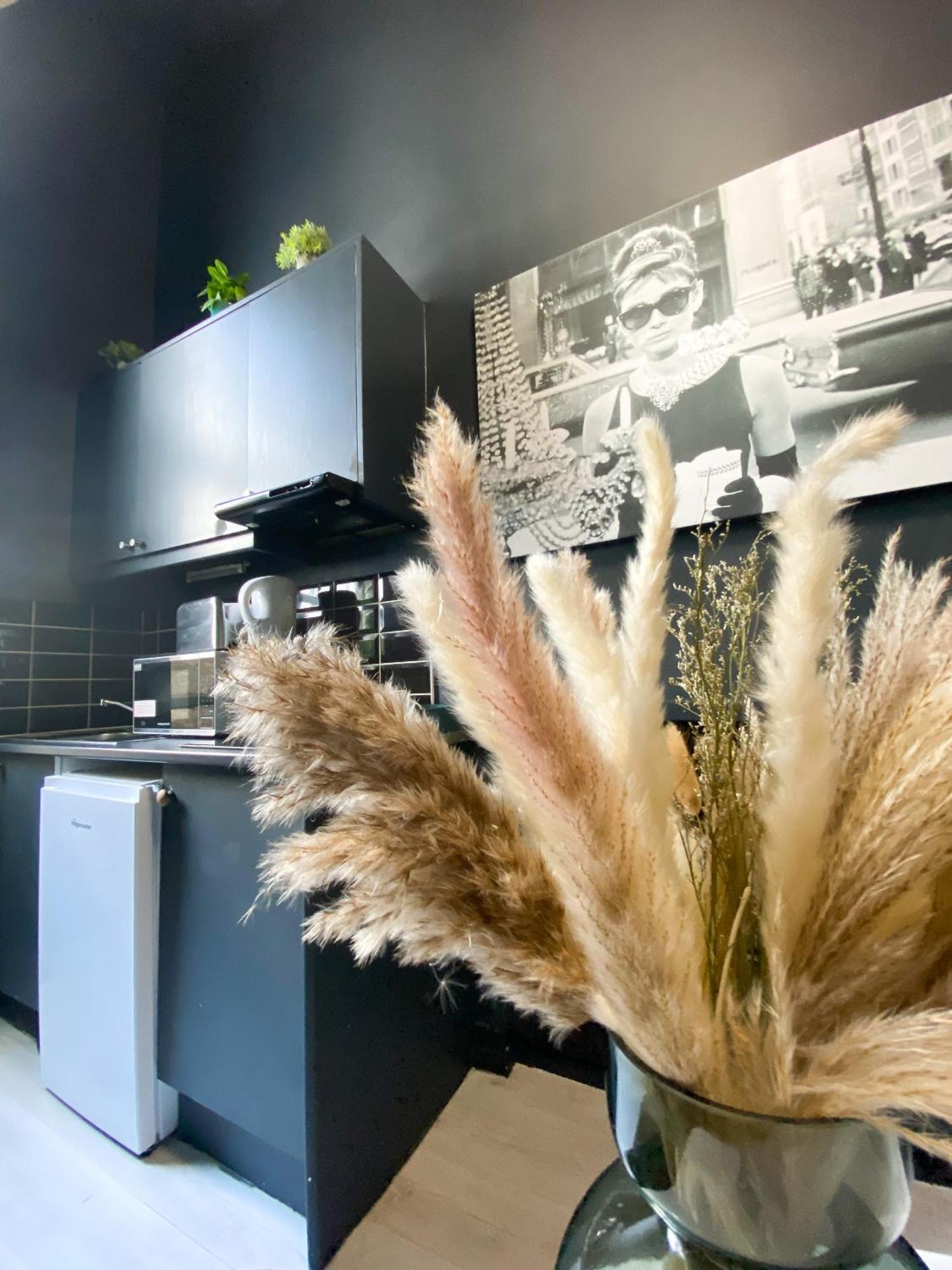 Modern Close To Hyde Park Apartment