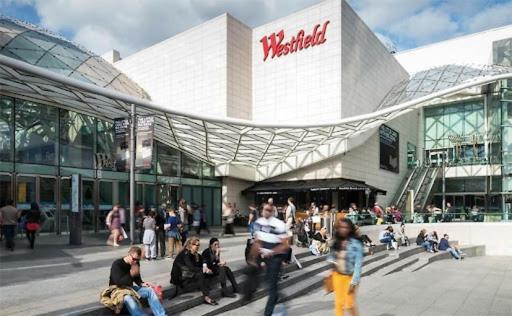 Acton Town Luxe - Spacious Modern Near Westfield & Nature, Pets Welcome! Apartment *