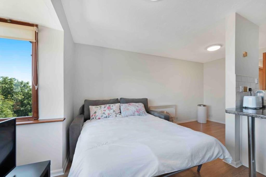 Leilighet N.acton Quiet Cosy 1 Bed-private Free Parking London