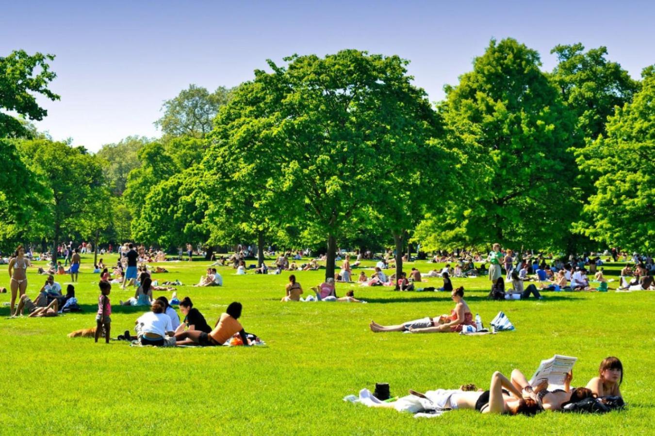 Beautiful Notting Hill Apartment London