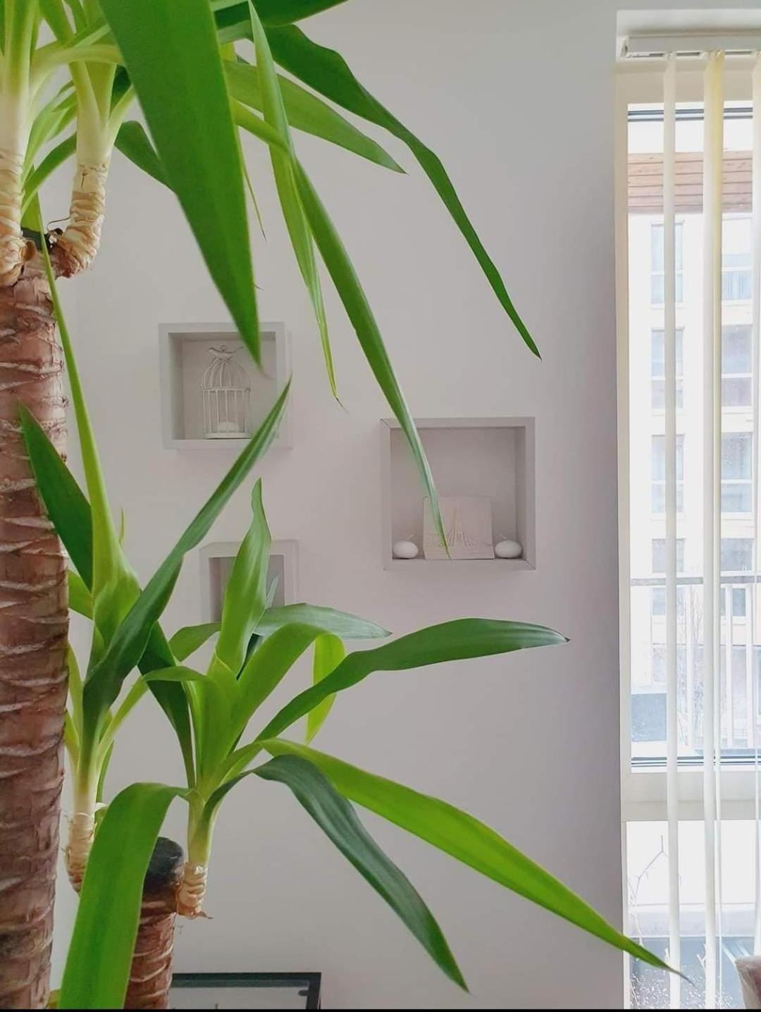 Luxury 2 Bedroom Flat In Central * Londres
