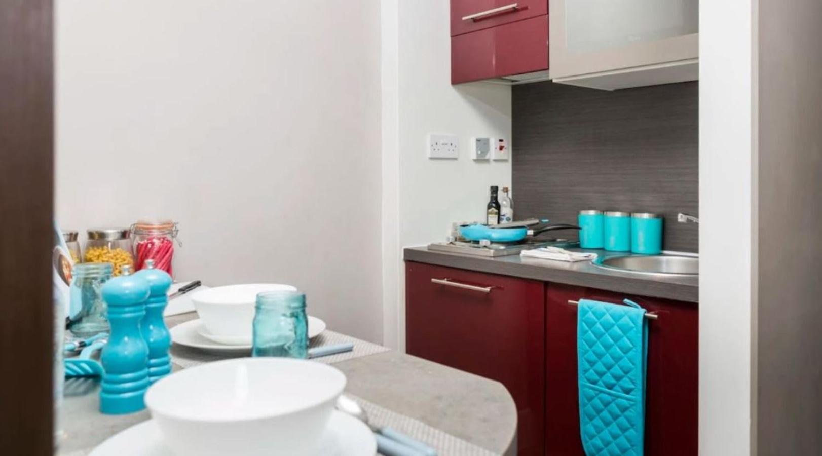 Apartment Student Only Studio Living In Central London *