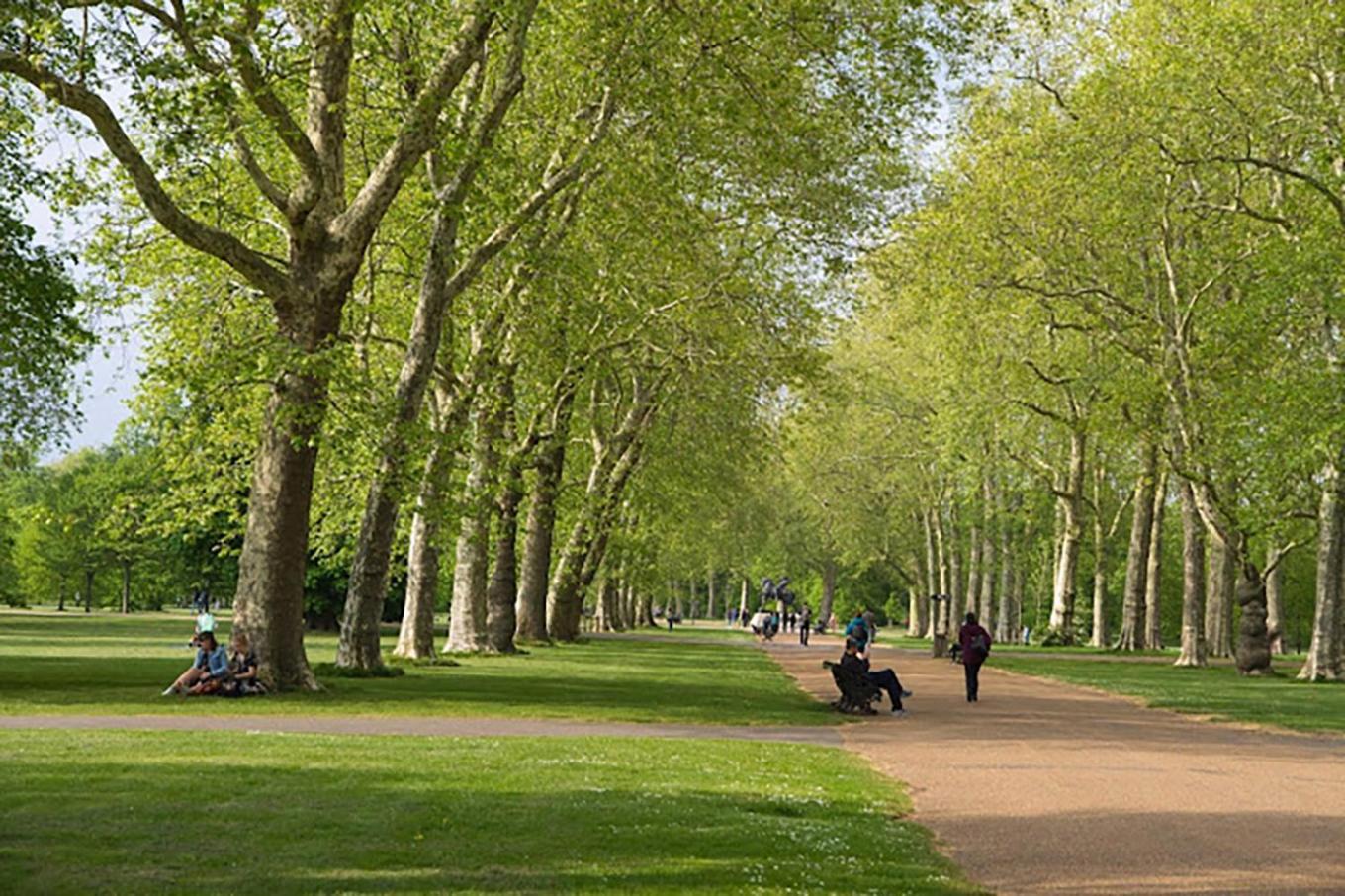 Appartement Cosy 3 Bedroom 3 Bathroom Flat With Private Garden- Maida Vale, Near Paddington