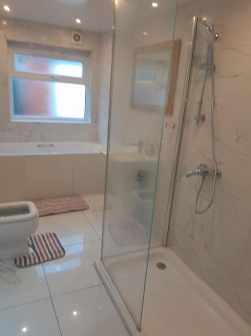 The W3 Flat London