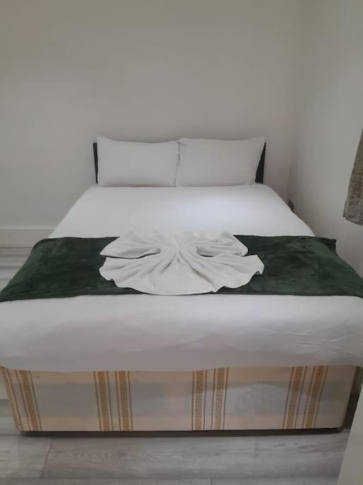 The W3 Flat *