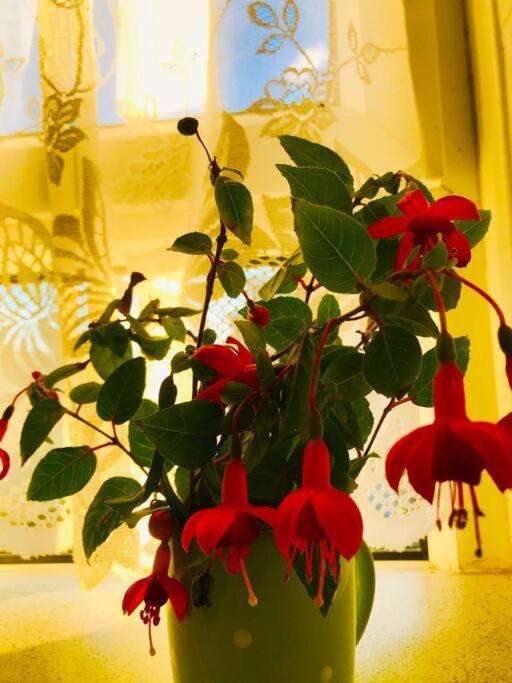 Carpe Diem Flat Near Zone 1 Appartement Londen