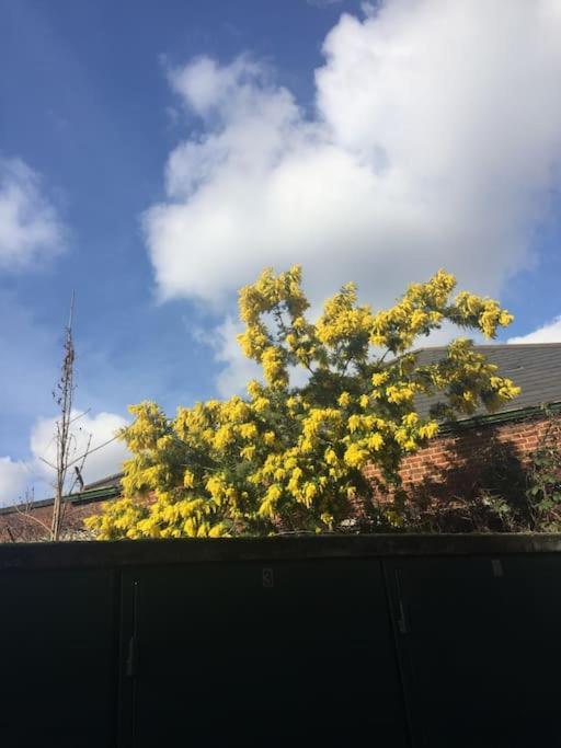 Carpe Diem Flat Near Zone 1 * Londen
