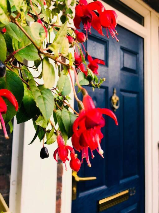 Appartement Carpe Diem Flat Near Zone 1 Londen