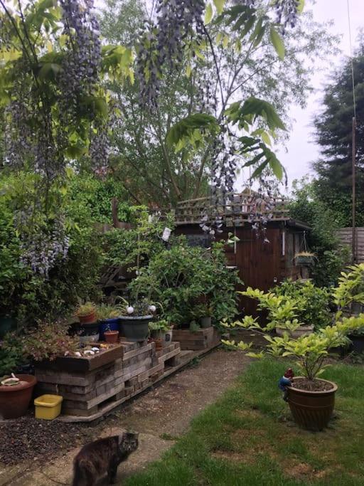 Carpe Diem Flat Near Zone 1 Appartement Londen