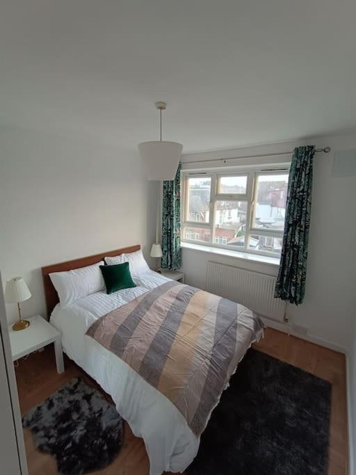 Spacious 3 Bed Flat Opp Springfield Park, Hackney. Londen