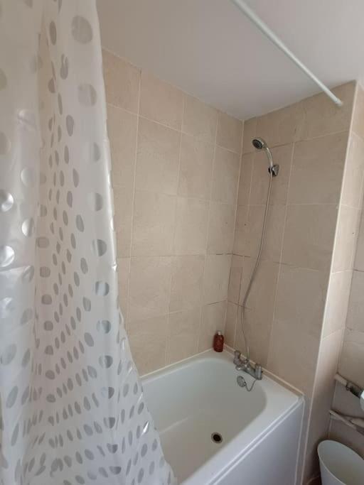 Appartement Spacious 3 Bed Flat Opp Springfield Park, Hackney.