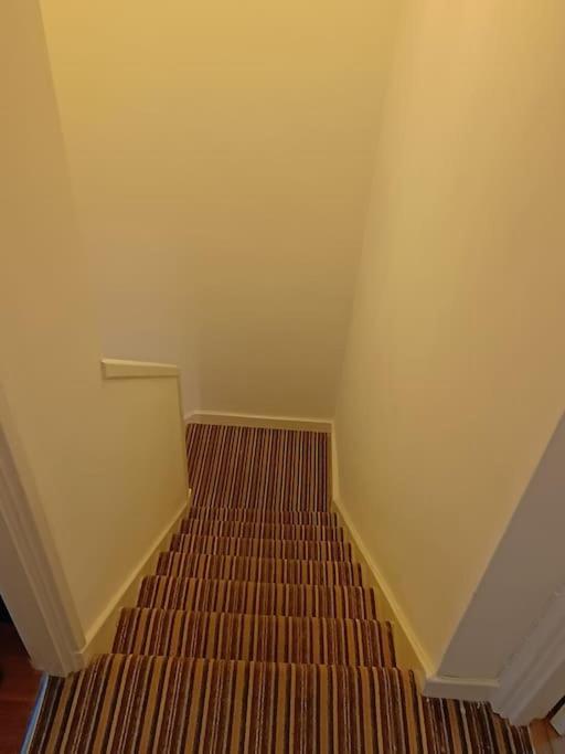 Spacious 3 Bed Flat Opp Springfield Park, Hackney. Appartement Londen