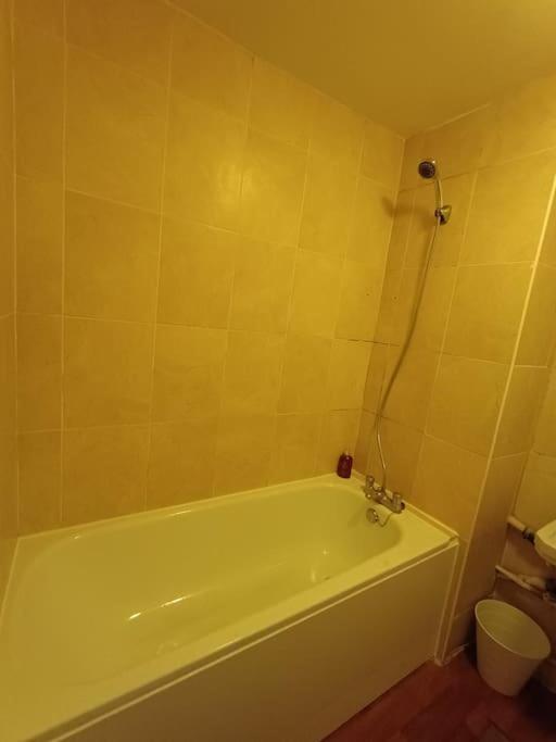 Appartement Spacious 3 Bed Flat Opp Springfield Park, Hackney. Londen