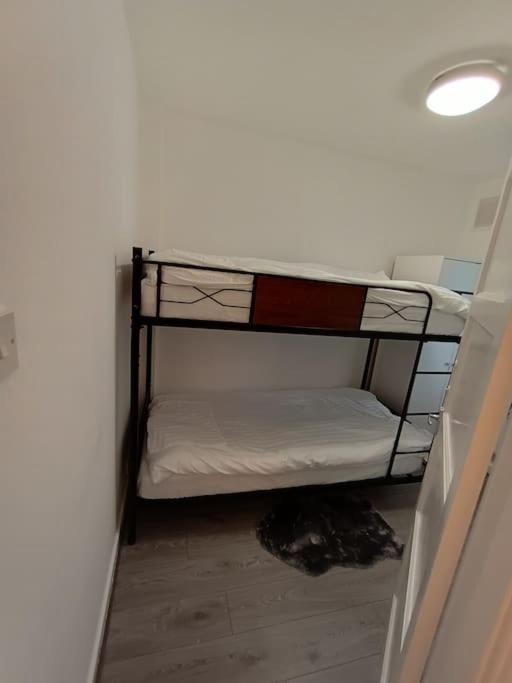 Appartement Spacious 3 Bed Flat Opp Springfield Park, Hackney. *