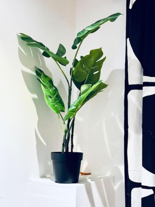 Modern 2 Bedroom Flat In Balham Apartamento