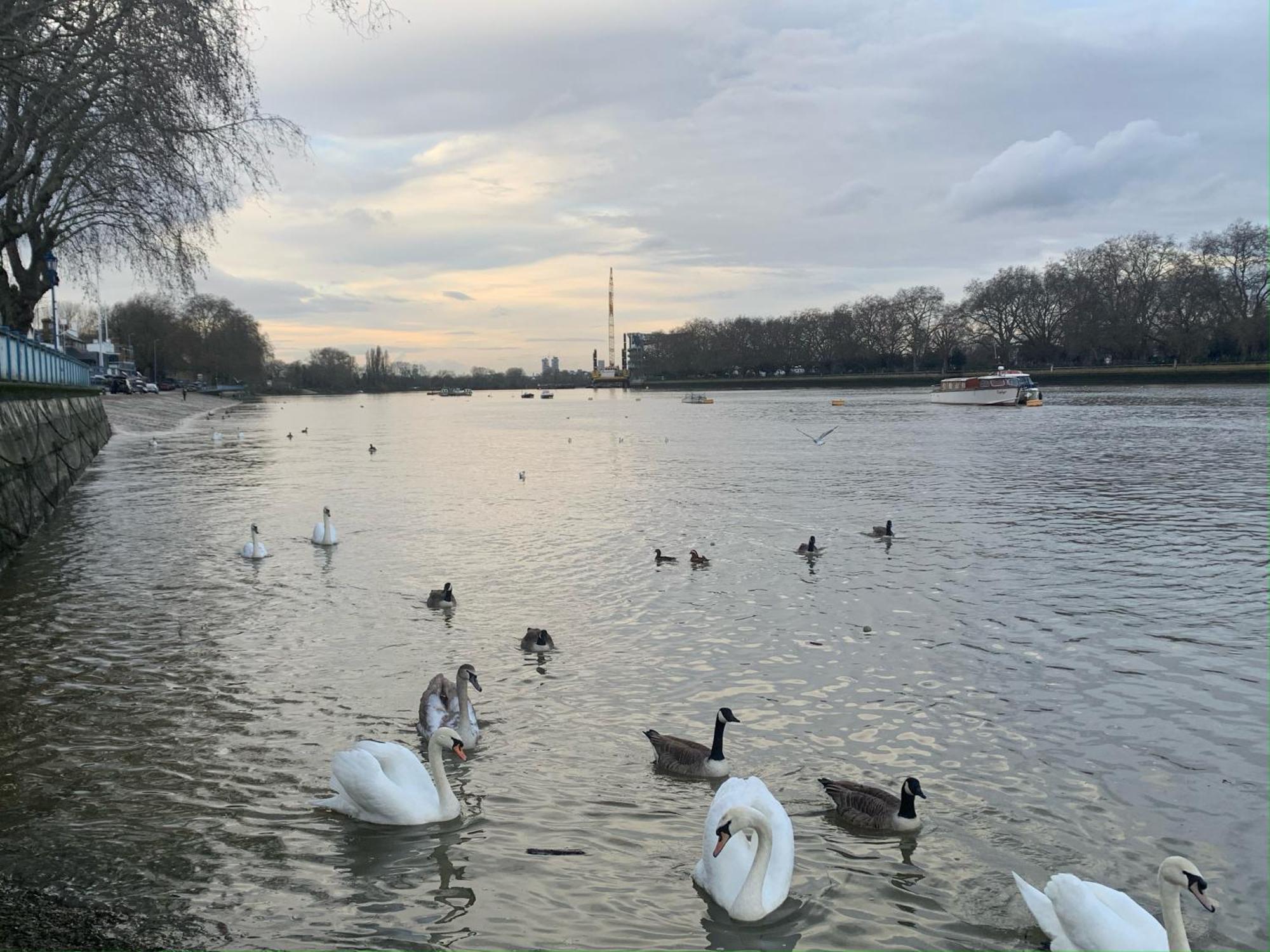 Boutique Putney Riverside Appartement