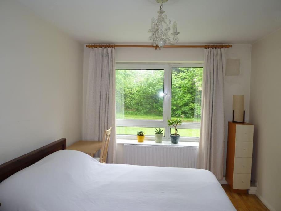 One Bedroom Flat In St Johns Wood Apartment
