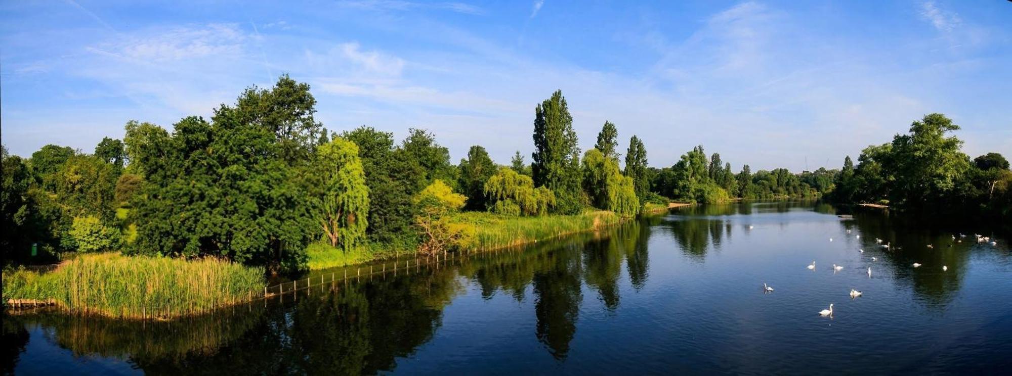 Apartment Modern Close To Hyde Park *